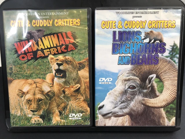 DVD Cute & Cuddly Critters: Wild Animals Africa [DVD]