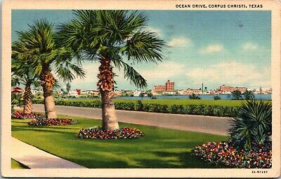 Postcard TX View of Ocean Drive Corpus Christi Texas Palm Trees Flowers c1939
