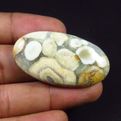 Libre Gemme pour Bijoux Fabrication 151.20 Carats Cobra Jasper Cabochon 