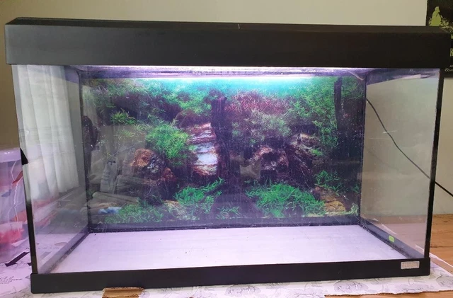 Fluval Aquarium/Fish Tank - Approximate Measurements W80cm - H50cm - D33cm