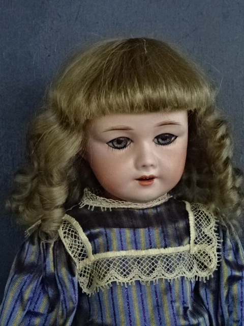 PERRUQUE en mohair pour poupée BLEUETTE ancienne ou repro - Tour de tête  17 cm
