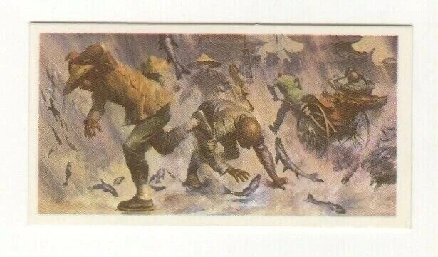 Brooke Bond #37 - Raining fish, Singapore, 1861
