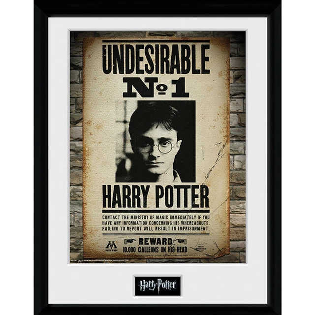 Harry Potter Quadretto Con Cornice Framed Print Undesirable No 1 (30.5 x 40.6cm)