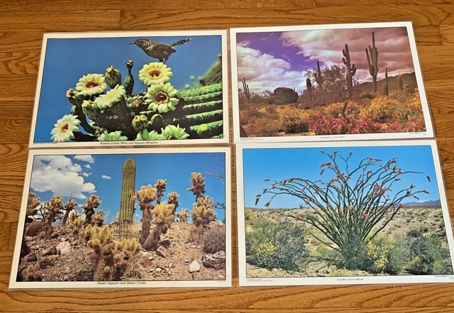 Vintage Beautiful Arizona Laminated Placemats (4) Reversible Washable Petley
