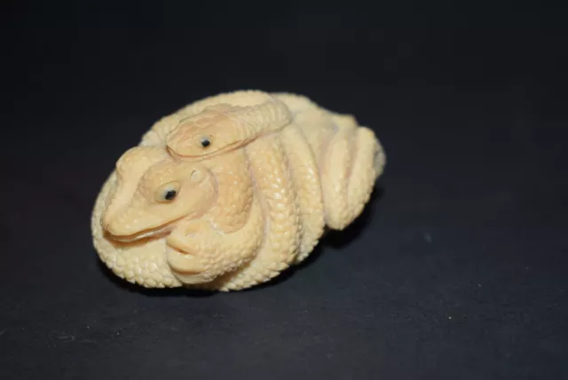 Netsuke, Taguanuss, Schlange, eine Kröte würgend, Augen aus Onyx, sign., 64mm 2