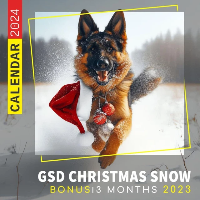GSD CHRISTMAS SNOW Calendar 2024 Jan 2024 to Dec 2024 Bonus 3 Months