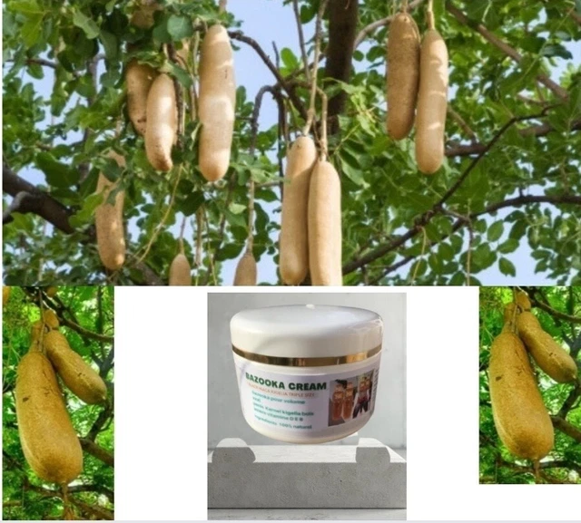 Beurre Kigela Cream XXL - Mélange écorce Et Racine De Kigelia - 100g - Produit Naturel Et Biologique