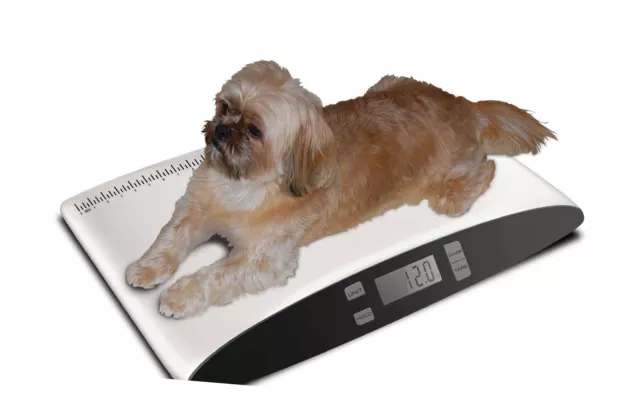 Bathroom Scale Precision Digital Pet Small Animal Dog Cat Weight LCD Display New