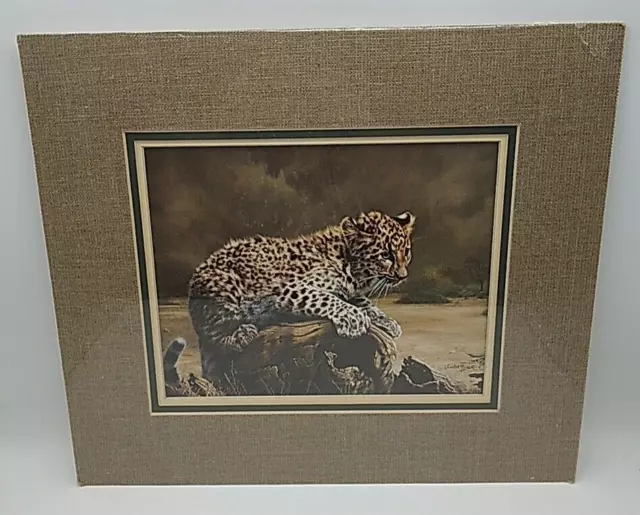 Charles Frace' Wildlife Print AFRICAN LEOPARD CUB 15.5" x 13.5" Matted 8x10" Art