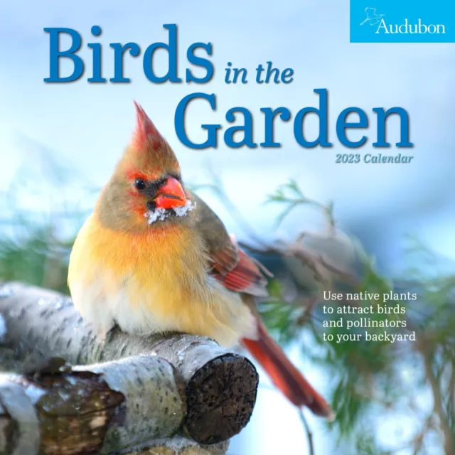 workman-audubon-birds-in-the-garden-wall-calendar-2023-w-eur-17-95