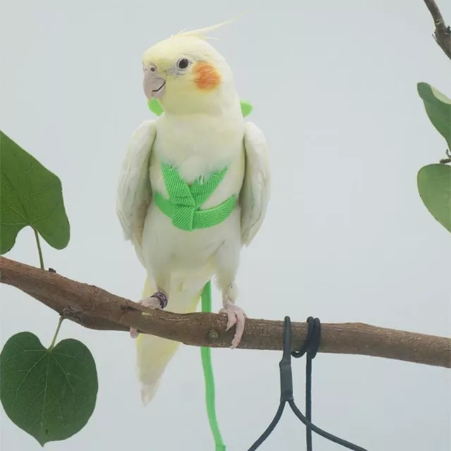 Training Bird Nylon Bird Harness Flight Training Rope Bite Bird Traction Belt