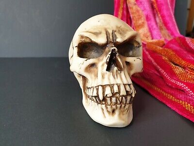 Old Cast Skull …beautiful collection & display item 2
