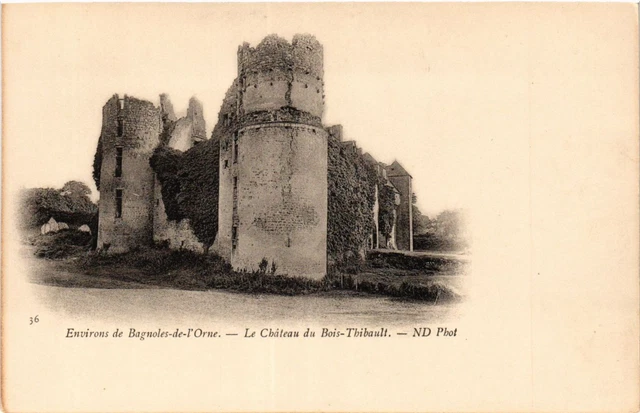 CPA AK Env. de BAGNOLES-de-l'ORNE - Le Chateau du Bois-Thibault (435219)