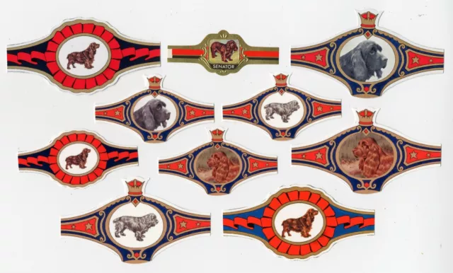 Sussex Spaniel Vintage Collectable Dog Bands