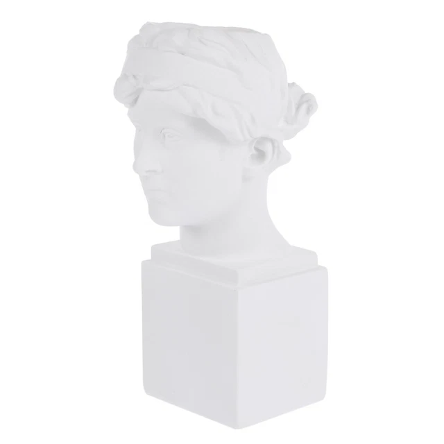 1pc Résine Succulent Vase Tête des Pots de fleurs