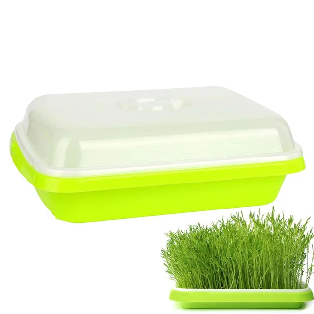 Hydroponic Sprout Box Peanut Wheat Sprout Tray Sprout Cat Grass Sprout Plate