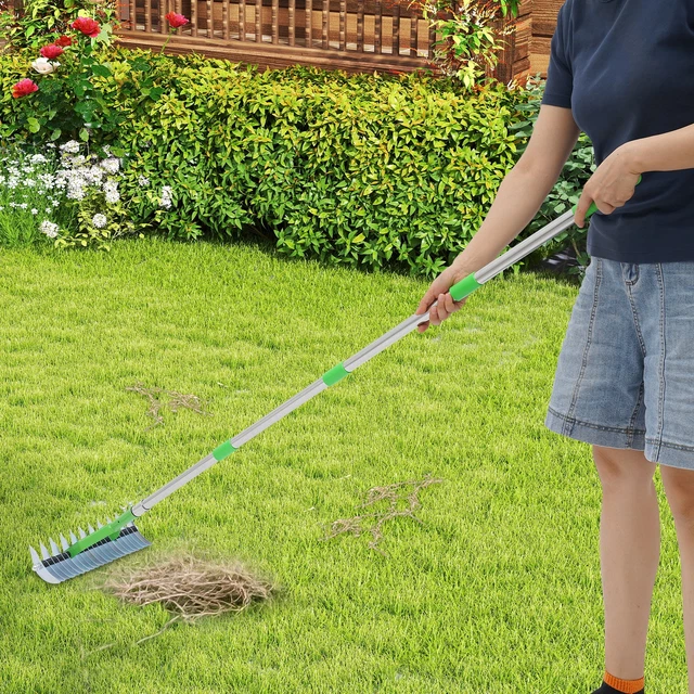 Felting Rake LAWN FELT REMOVAL Rake Lawn Thatching Rake Garden Tool for Cleaning ...