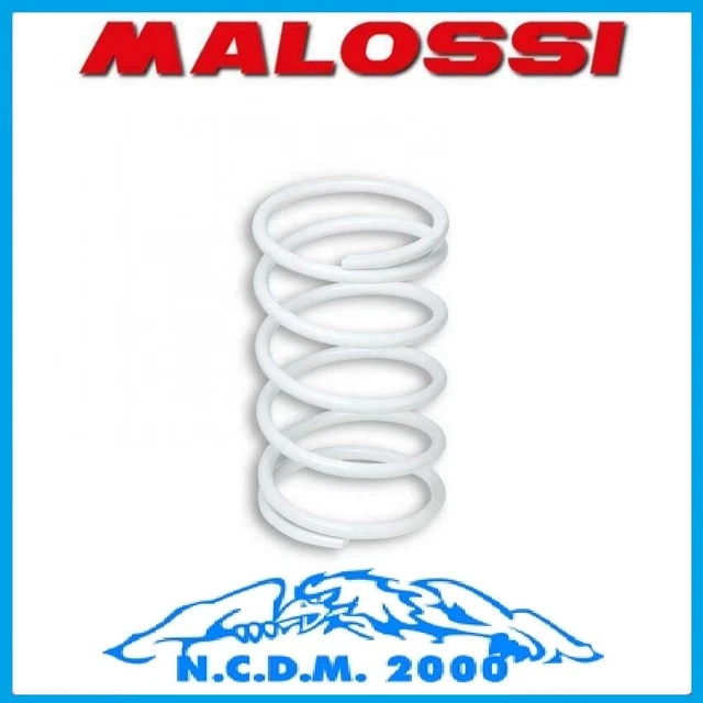 Kit De Soupapes Moteur Malossi Pour Malaguti Password CK 250 4T LC - Neuf, Référence 2711824