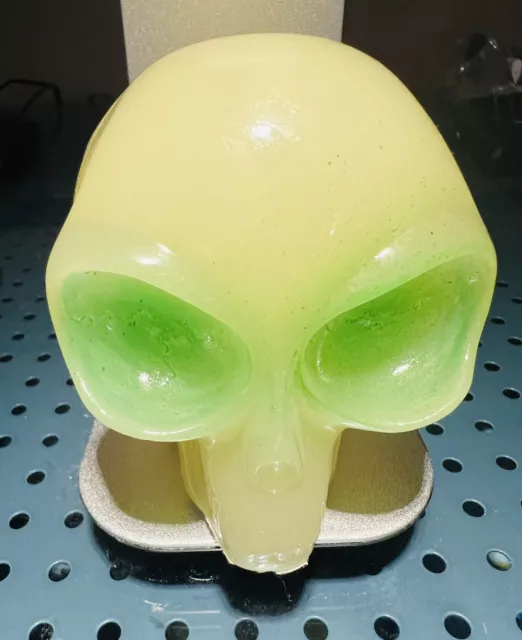 Pacific Giftware Extra Terrestrial Glow In The Dark Green Skull, Edmond, OK