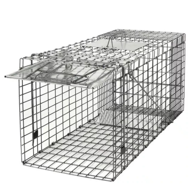 32" Humane Animal Live Trap Cage for Raccoons Rodent Control Stray Cat Squirrel