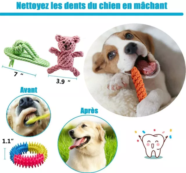 Lot de 10 Jouets pour Chien Durables Mâcher Corde Petits et Moyens Soulage 3