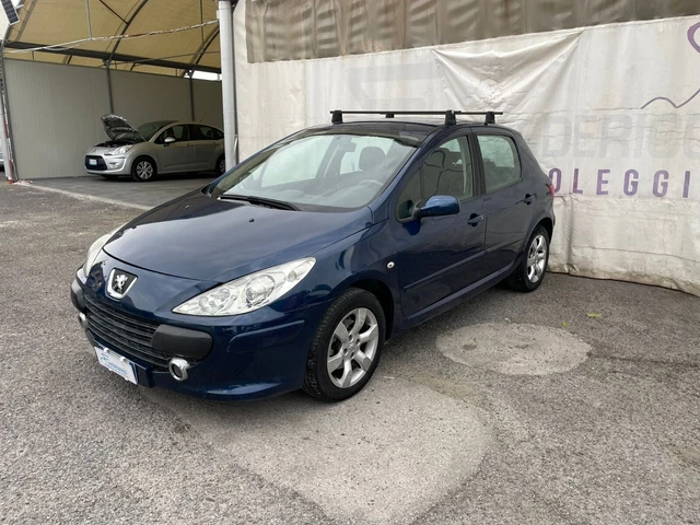 Peugeot 307 1600 Hdi 110cv Diesel 5 porte