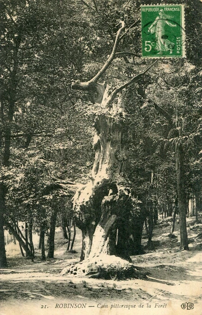 Map LE PLESSIS ROBINSON Picturesque Corner of the Forest