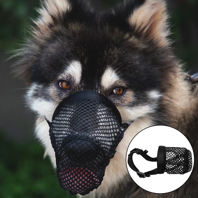 Cesto museruola cane di lunga durata copertura bocca con ciclo regolabile allenamento Belle