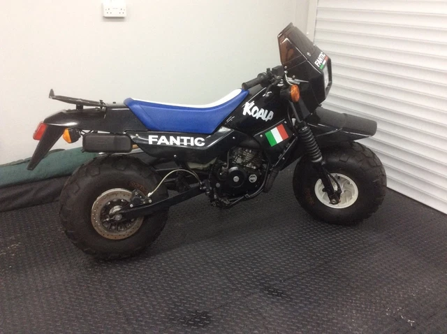 FANTIC KOALA PicClick UK