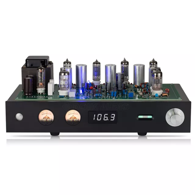 Vakuumröhre FM Radio Drahtloser Empfänger Valve Tube Stereo Audio Preamp