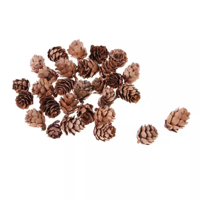 30 Pcs Natural Dried Pine Cones Wedding Home DIY Craft Christmas Tree