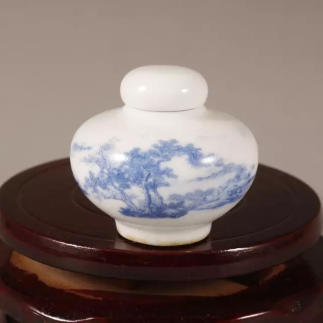 Chinese Jingdezhen Blue and White Porcelain Pine Pattern Snuff Bottle 2.0"