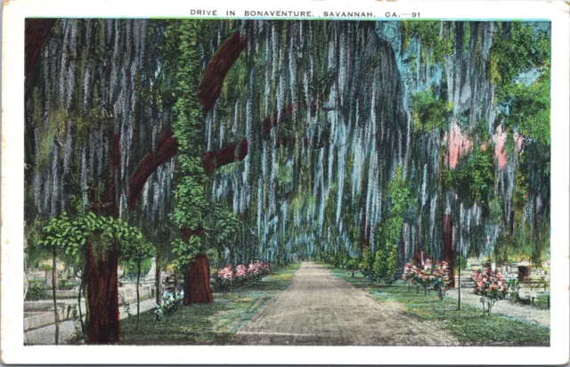 Postcard Savannah Georgia - Drive in Bonaventure - Spanish Moss