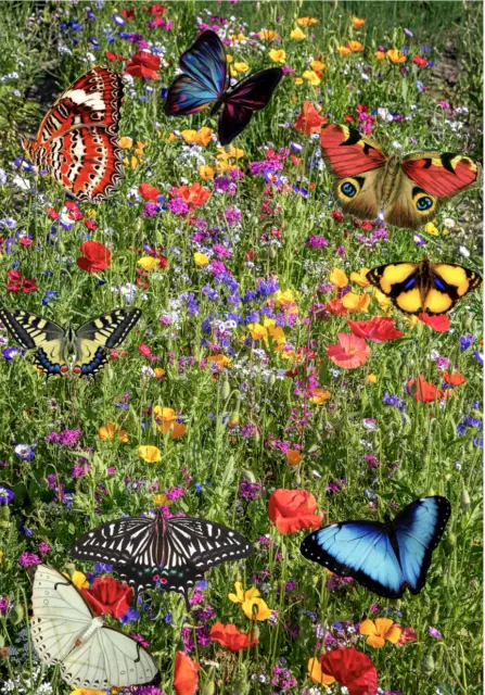 Wild flower seeds UK pure  Scented  NO GRASS Bee Butterfly Mix Meadow Garden UK