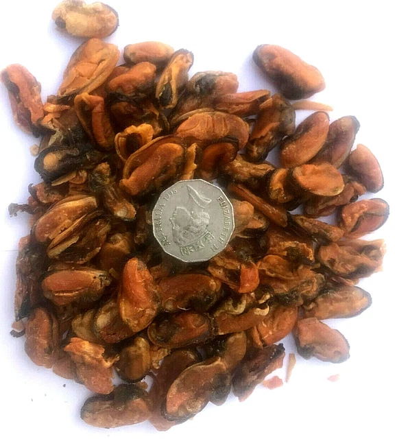 Green Lip Mussel. 1kg. Pet Dog Cat. Treat Chew Supplement for Arthritis Joints