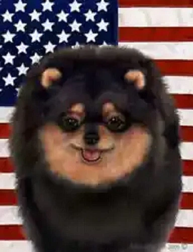 Patriotic (D2) Garden Flag - Black and Tan Pomeranian 329561
