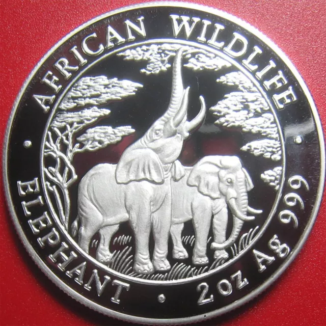 2003 ZAMBIA 10000 KWACHA 2 oz SILVER PROOF ELEPHANT AFRICAN WILDLIFE RARE COIN!