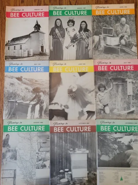VINTAGE 1980 Gleanings in Bee Culture Lot of 9 Beekeeping Magazines BEE18