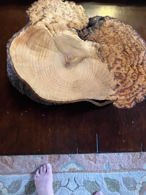 Burled Wood Plate 2