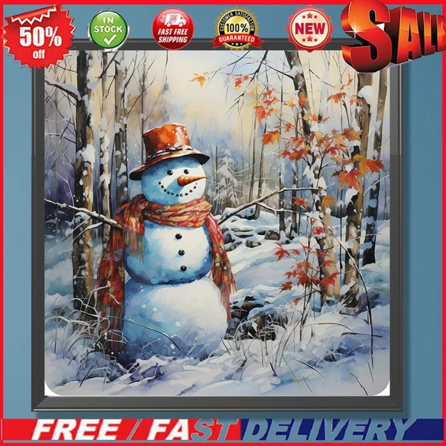 Paint By Numbers Kit DIY Oil Art Snowy Land Picture Home Wall Decor 40x40cm