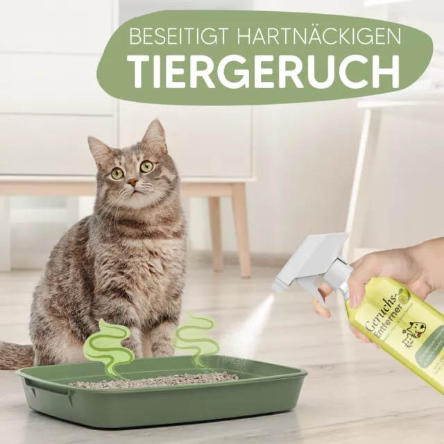 Tier-Geruchsentferner & Enzymreiniger Katzenurin & Hundegeruch entfernen 3