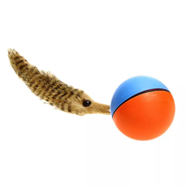 Jouet à Souris Boule Électrique Jeu pour Chat Animal de Compagnie