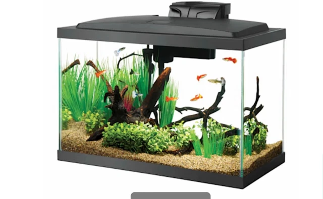 Aqueon LED 10 Gallon Fish Tank Aquarium LED Kit Set w Heater, LED, Filter & Tank