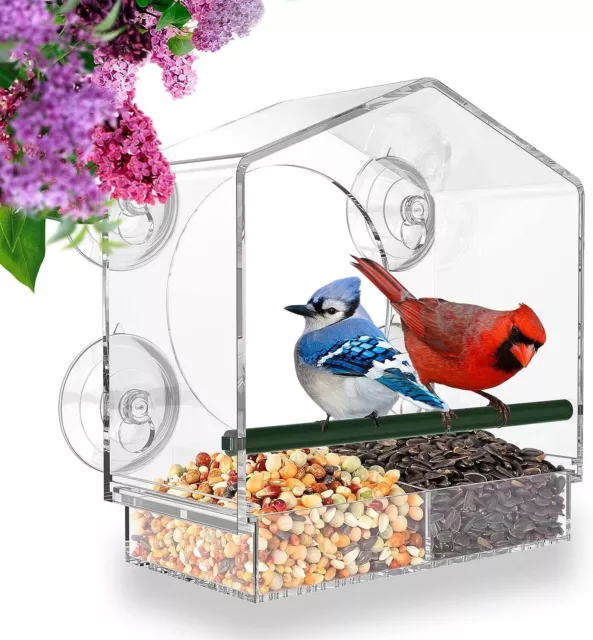 Window Bird Feeders with Strong Suction Cups Wild Bird Feeder Bird Watching