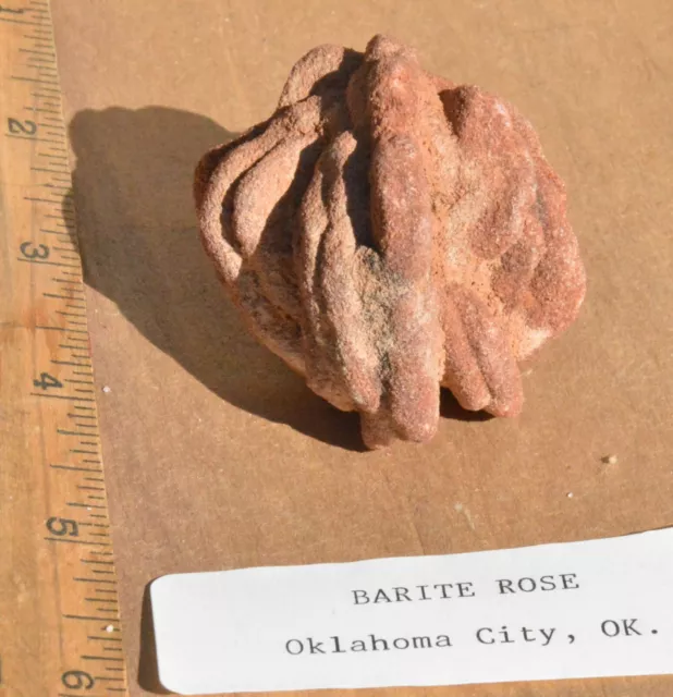 Barite Rose, Oklahoma City, OK,  (Robinson)....