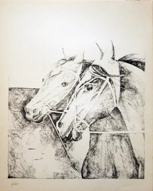 Marcello scuffi Lithographie Blanc Noir Chevaux 50x40 Numéroté Sur 100 Spécimens