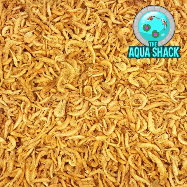 Natural Dried Krill - Floating Terrapin & Turtle Food Calcium Treat Shrimp