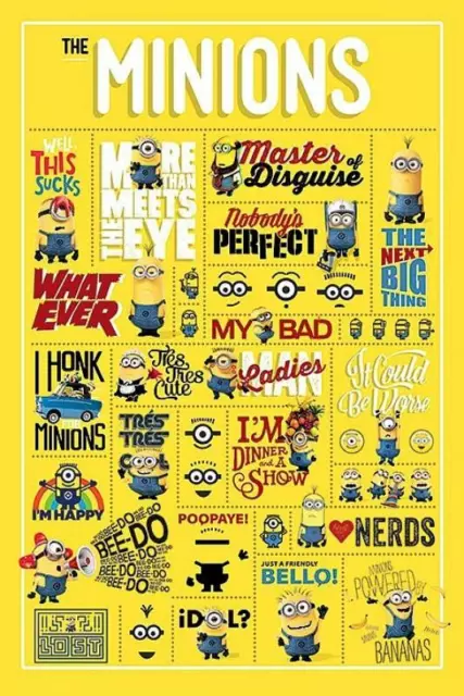Despicable Me : Infographic - Maxi Poster 61cm x 91.5cm new and sealed