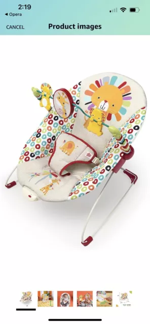 baby bouncer