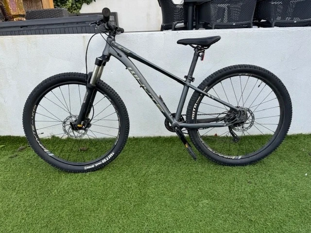 Whyte shop 403 2020